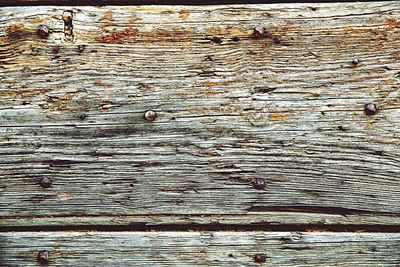 Full frame shot of tree