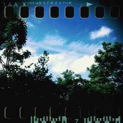 Low angle view of trees against sky