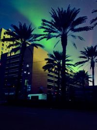 Low angle view of palm trees against sky