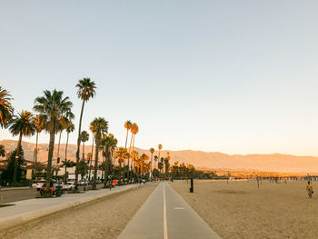 Road by palm trees against clear sky