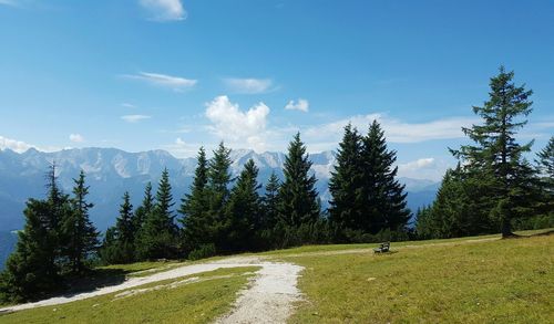 Panoramic view of road amidst trees against sky