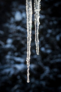 Close-up of frozen ice