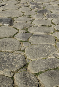 Full frame shot of paving stone