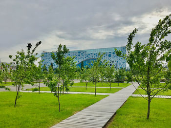 Trees in park against sky