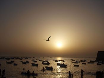 Silhouette birds flying over sea against clear sky during sunset