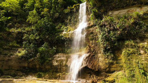 Waterfall in forest