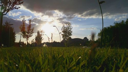 Scenic view of field against sky during sunset