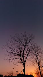 Low angle view of silhouette tree against sky at night