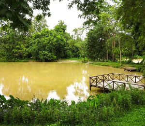 Scenic view of lake with trees in background