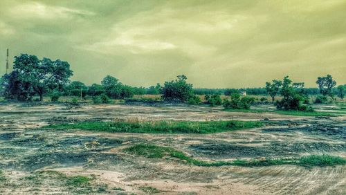 Trees on field against cloudy sky
