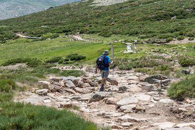 Rear view of man hiking on rocky pathway amidst field against sky