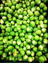 Full frame shot of sprouts 