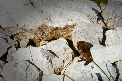 Close-up of rock