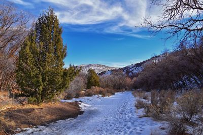 Winter snow mountain hiking trail views yellow fork park rose canyon copper mine salt lake city utah