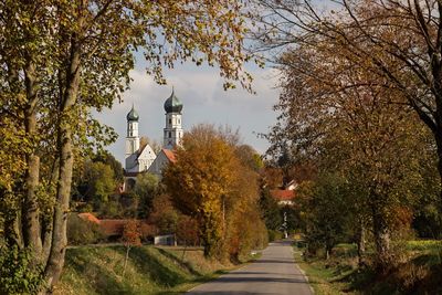 Street amidst trees and buildings against sky