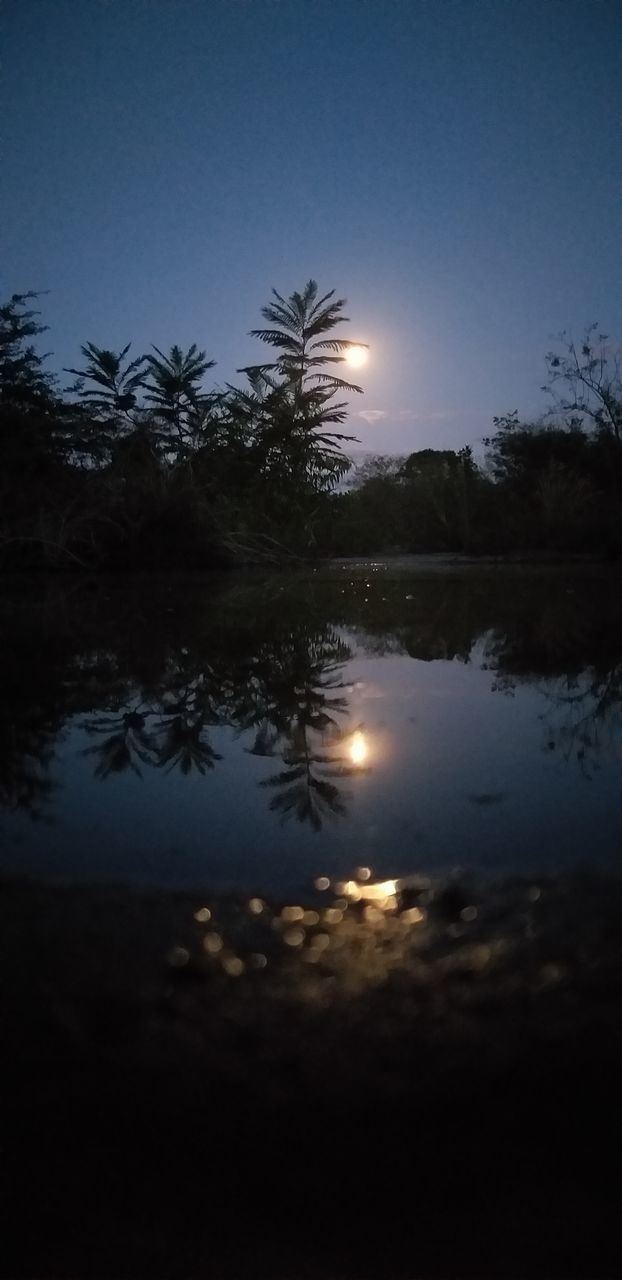tree, light, plant, darkness, sunlight, reflection, sky, nature, illuminated, no people, moonlight, tranquility, beauty in nature, outdoors, fog, growth, scenics - nature, water, tranquil scene