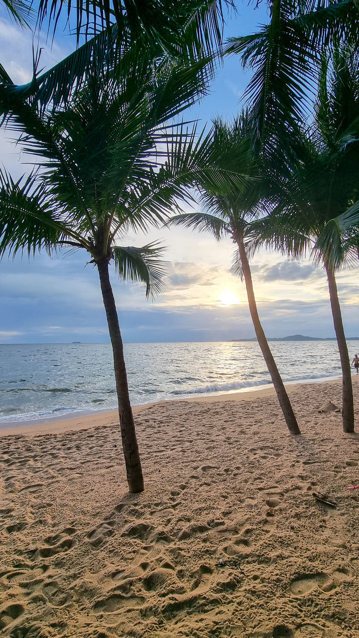 beach, land, sea, water, tree, palm tree, tropical climate, sand, sky, nature, beauty in nature, body of water, plant, scenics - nature, tranquility, ocean, horizon over water, tranquil scene, shore, horizon, coast, tropics, idyllic, no people, holiday, travel destinations, outdoors, vacation, coconut palm tree, trip, tropical tree, sunlight, sunset, day, environment, cloud, coastline, travel, seascape, island, palm leaf