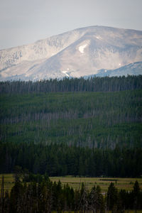 Scenic view of mountain against sky at yellowstone national park