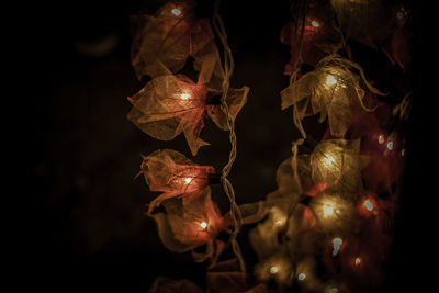 Close-up of illuminated light