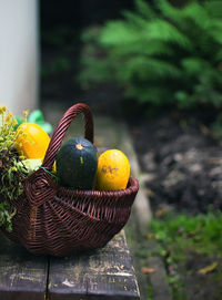 Close-up of fruits in basket