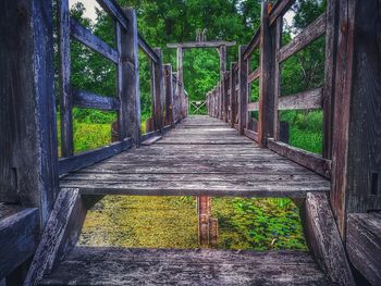 Footbridge amidst trees