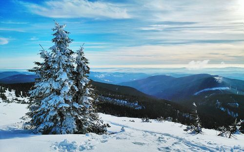 Scenic view of landscape against sky during winter