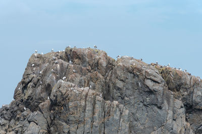 Low angle view of rock formation against sky