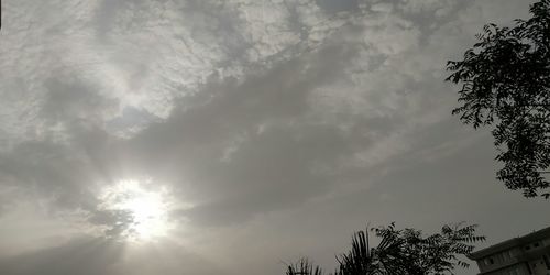 Low angle view of silhouette trees against sky