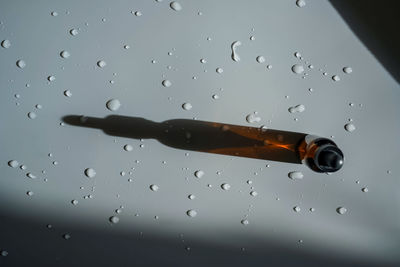 Close-up of raindrops on glass window