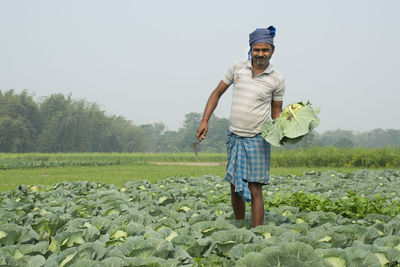 Farmer working at vegetable field