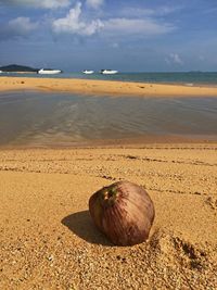Scenic view of sea shore against sky