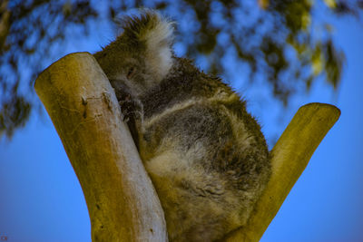 Low angle view of sculpture against blue sky