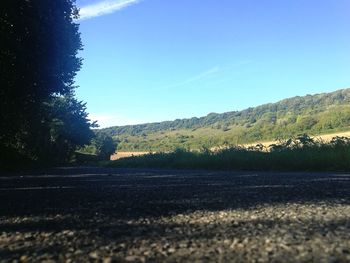 Surface level of road amidst trees against clear blue sky