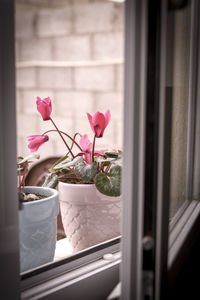 Pink flower pot on window sill