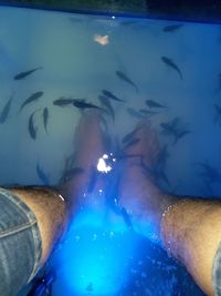 Low section of person swimming in pool