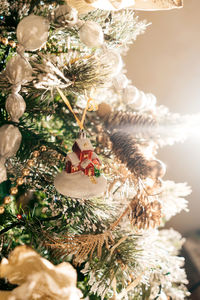 Close-up of christmas tree