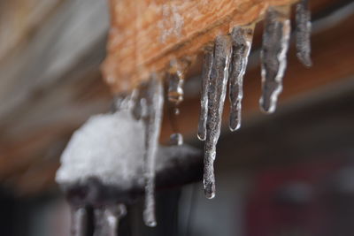 Close-up of icicles hanging from roof