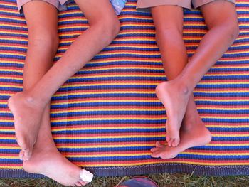 Low section of women on picnic blanket