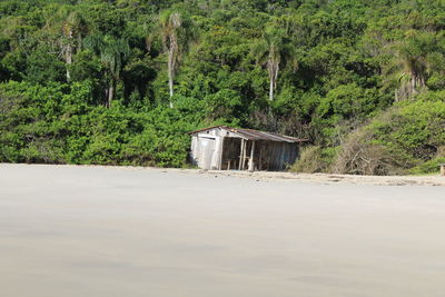 Built structure on road amidst trees in forest