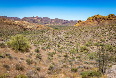 Scenic view of landscape against clear sky