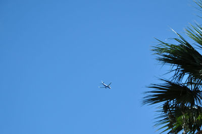Low angle view of airplane flying against clear blue sky