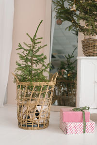 Christmas decor in the living room, a christmas tree in a wicker basket and gift boxes tied