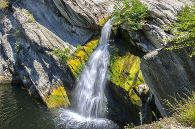 Scenic view of waterfall in forest