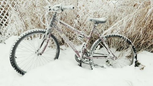 Close-up of bicycle during winter