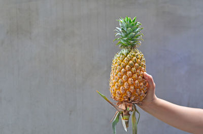 Midsection of woman holding fruit against wall