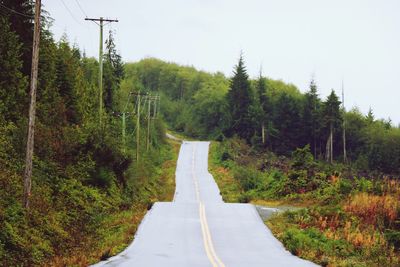 Road amidst trees in forest against sky