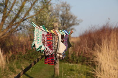 Socks drying on field