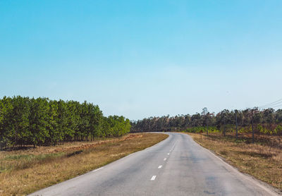 Empty road amidst trees against clear blue sky