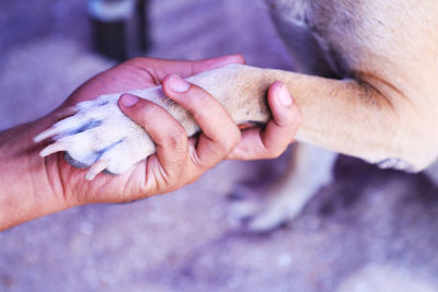 Close-up of couple holding hands