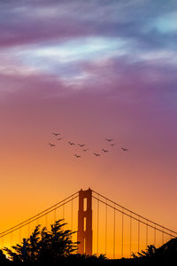 Low angle view of silhouette birds flying against sky at sunset